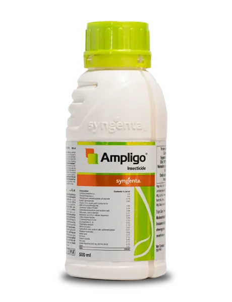 SYN-AMPLIGO 1LT