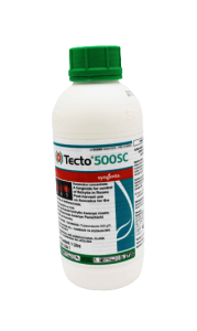 SYN-TECTO 60% 500GR 23930