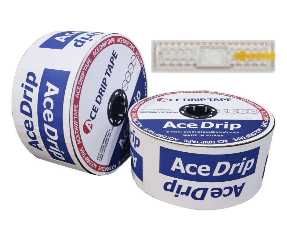 SW-ACEDRIP PASTILLA 58 06201.3L /3050M