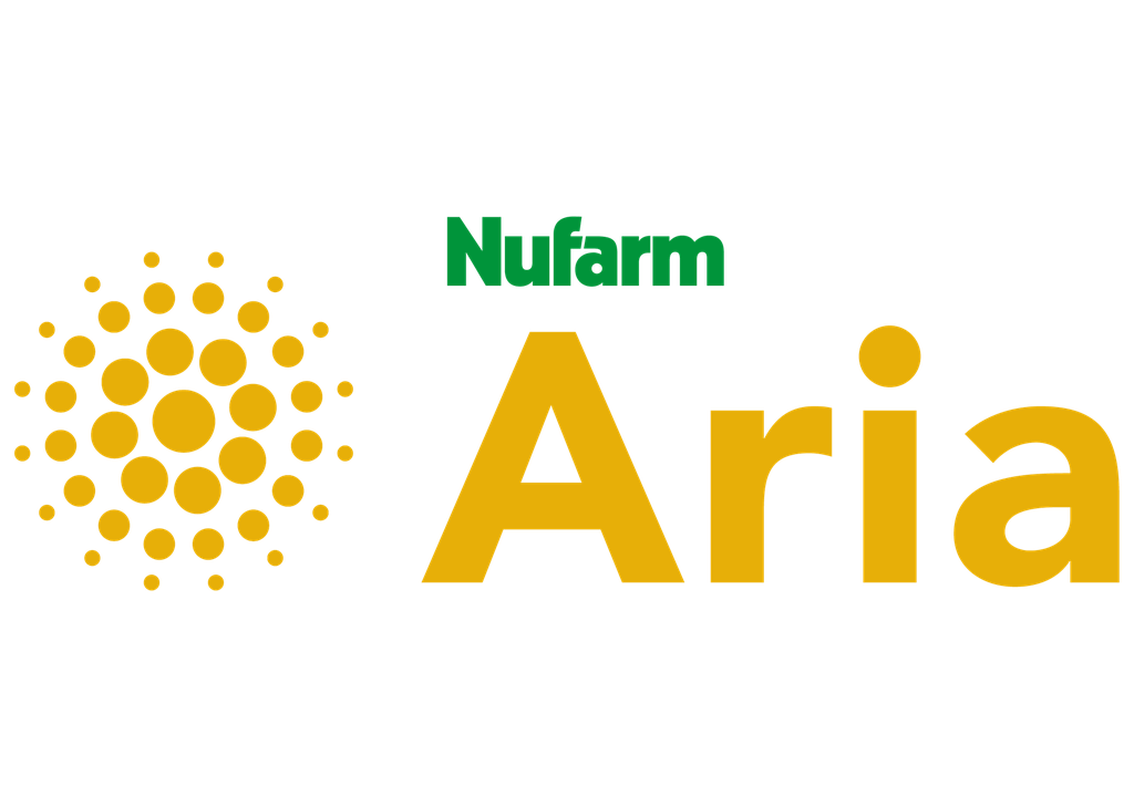 NF-ARIA 50SG 150GRM