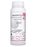 P003-BORAMIN CA 1 LT