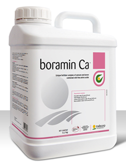 P003-BORAMIN CA 20 LT
