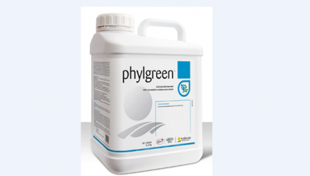 TD- PHYLGREEN 20 LT