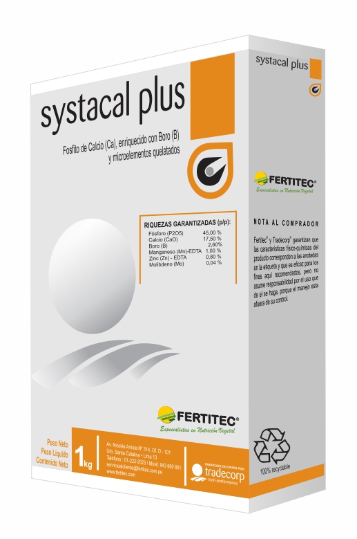 TD- SYSTACAL PLUS 1KG