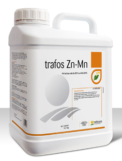 P003-TRAFOS ZN-MN 20 LT