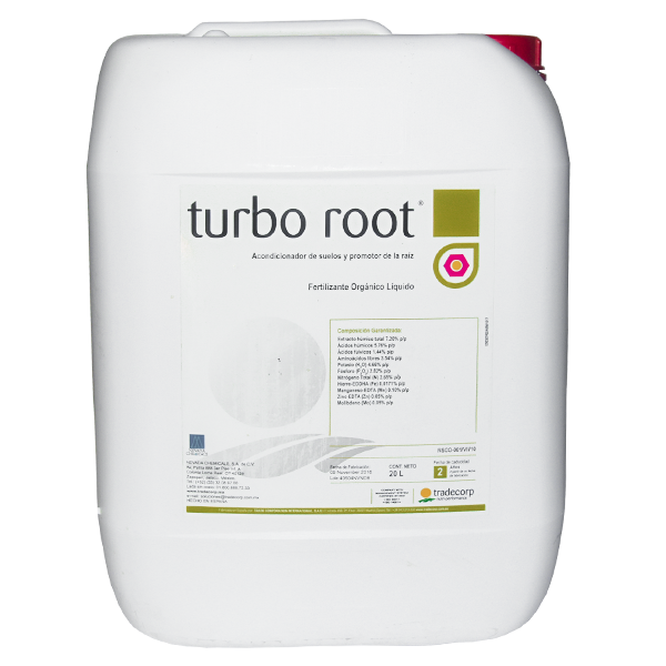 P003-TURBO ROOT 20 LT
