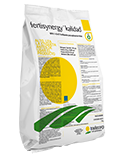 [FERTISYNERGY KALIDAD 1 KG] P003-FERTISYNERGY KALIDAD 1 KG