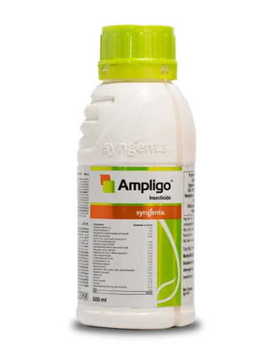 [39261] SYN-AMPLIGO 1LT