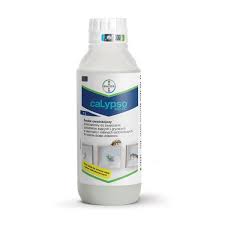 [CALYPSO 1LT] BY-CALYPSO 1LT