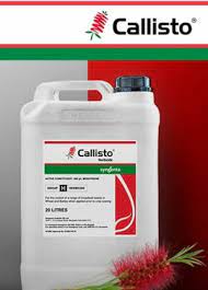 [68360] SYN-CALLISTO XTRA 10 LT