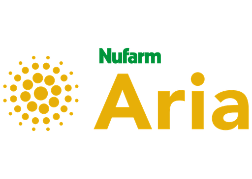 [60433365] NF-ARIA 50SG 150GRM